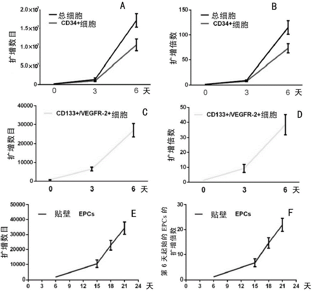 Efficient amplification culture system for human vascular endothelial progenitor cells