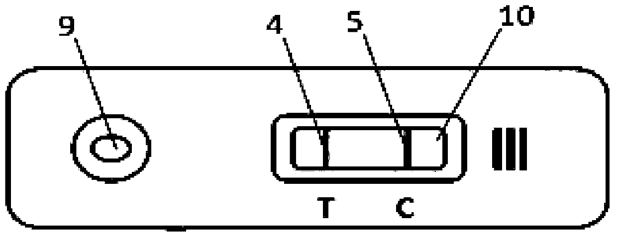 Group A streptococcus antigen detection test strip and kit and preparation methods thereof