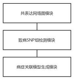 Disease correlation analysis system and method based on gene big data