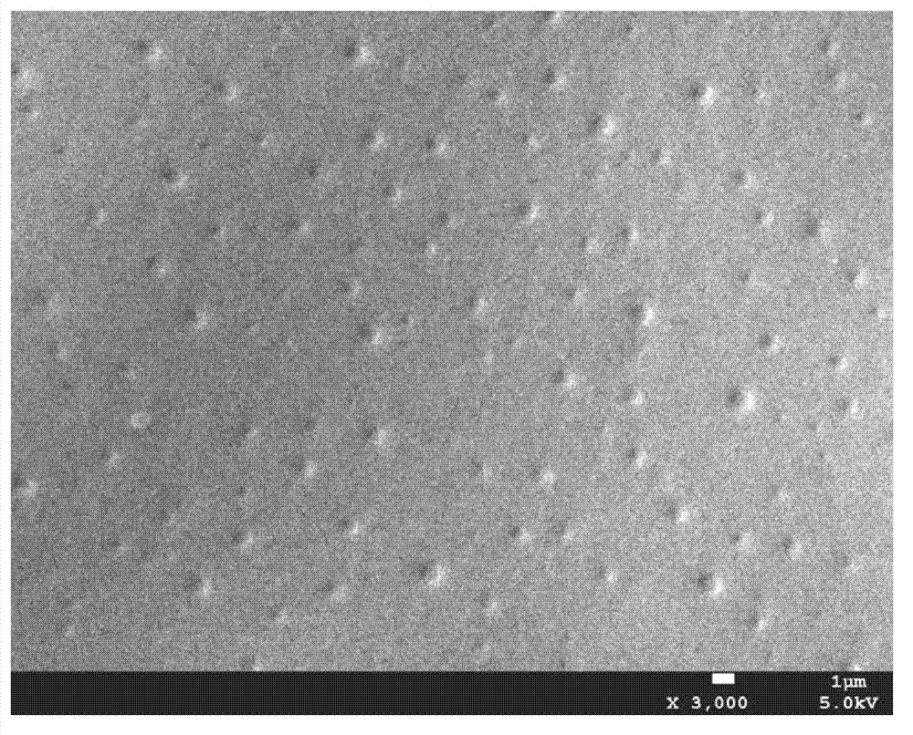 Water-borne epoxy resin paint and preparation method thereof