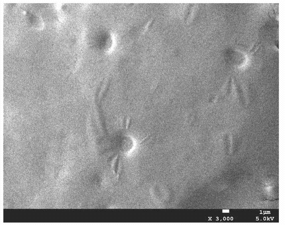 Water-borne epoxy resin paint and preparation method thereof