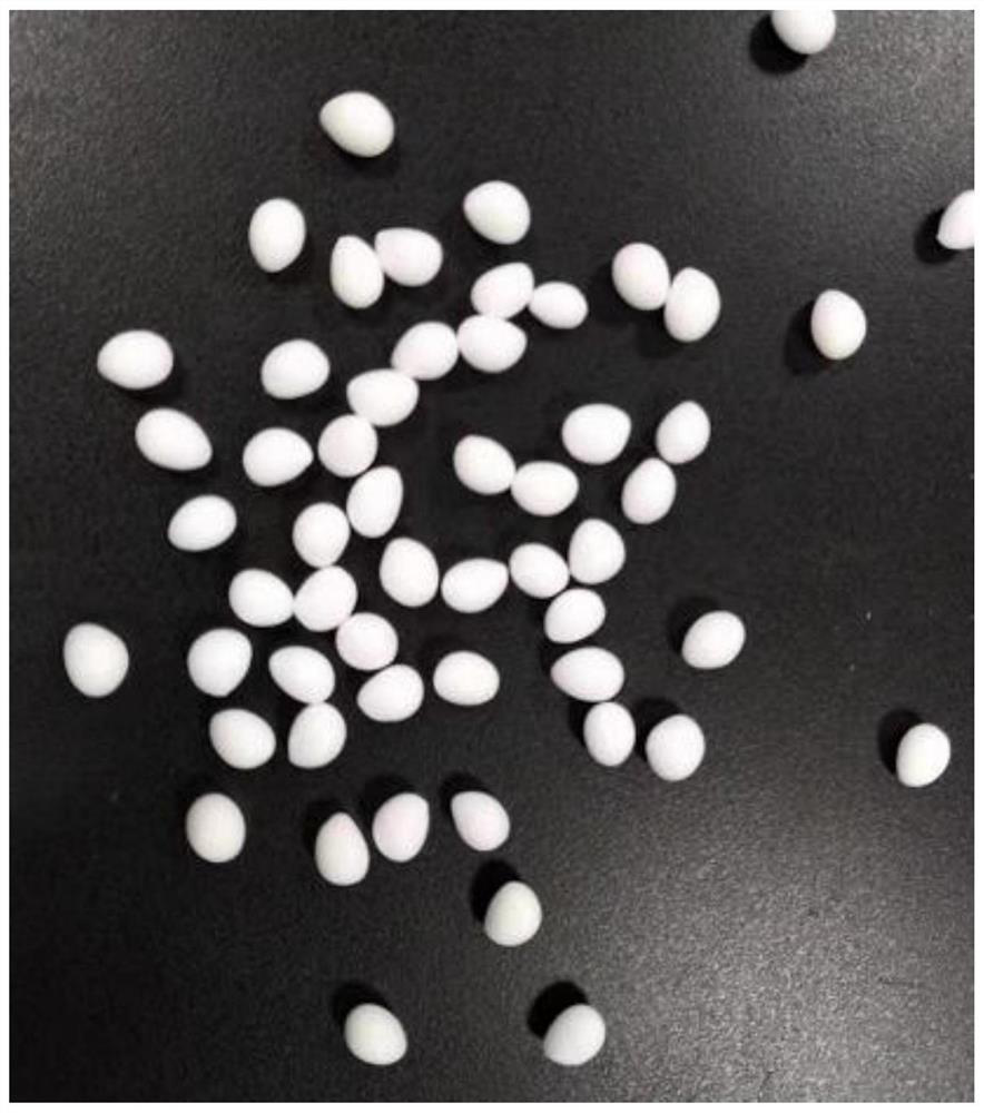 A kind of autoclave type preparation method of thermoplastic polyester elastomer foamed particles