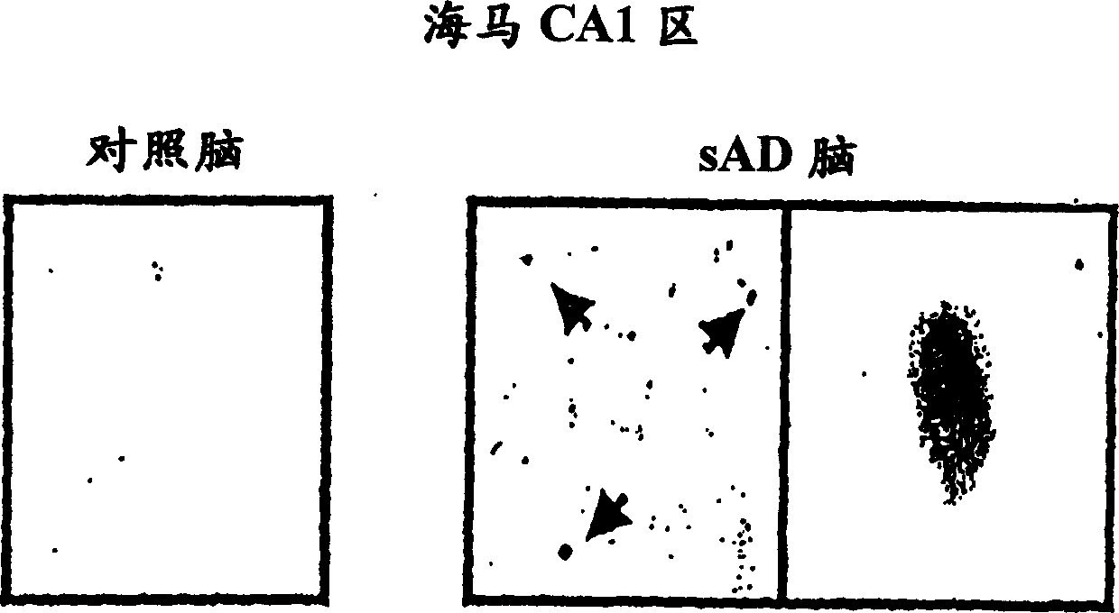 Medicinal compositions