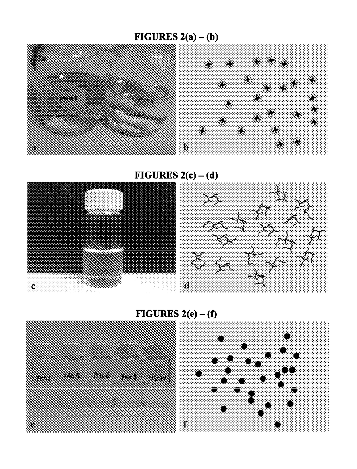 Antimicrobial coating for long-term disinfection of surfaces