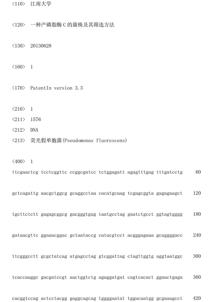 A strain producing phospholipase c and its screening method