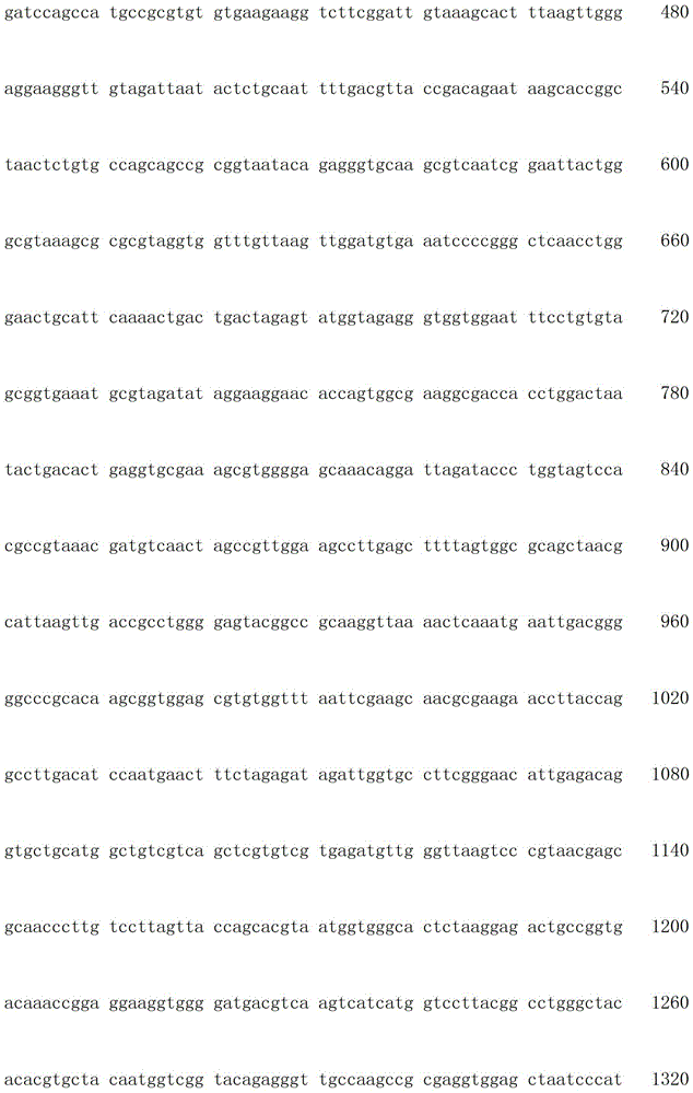 A strain producing phospholipase c and its screening method