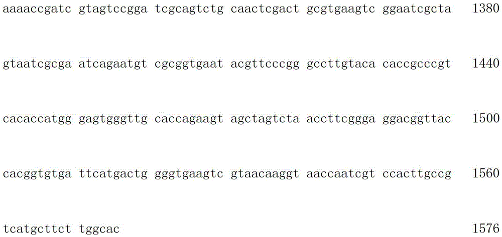 A strain producing phospholipase c and its screening method