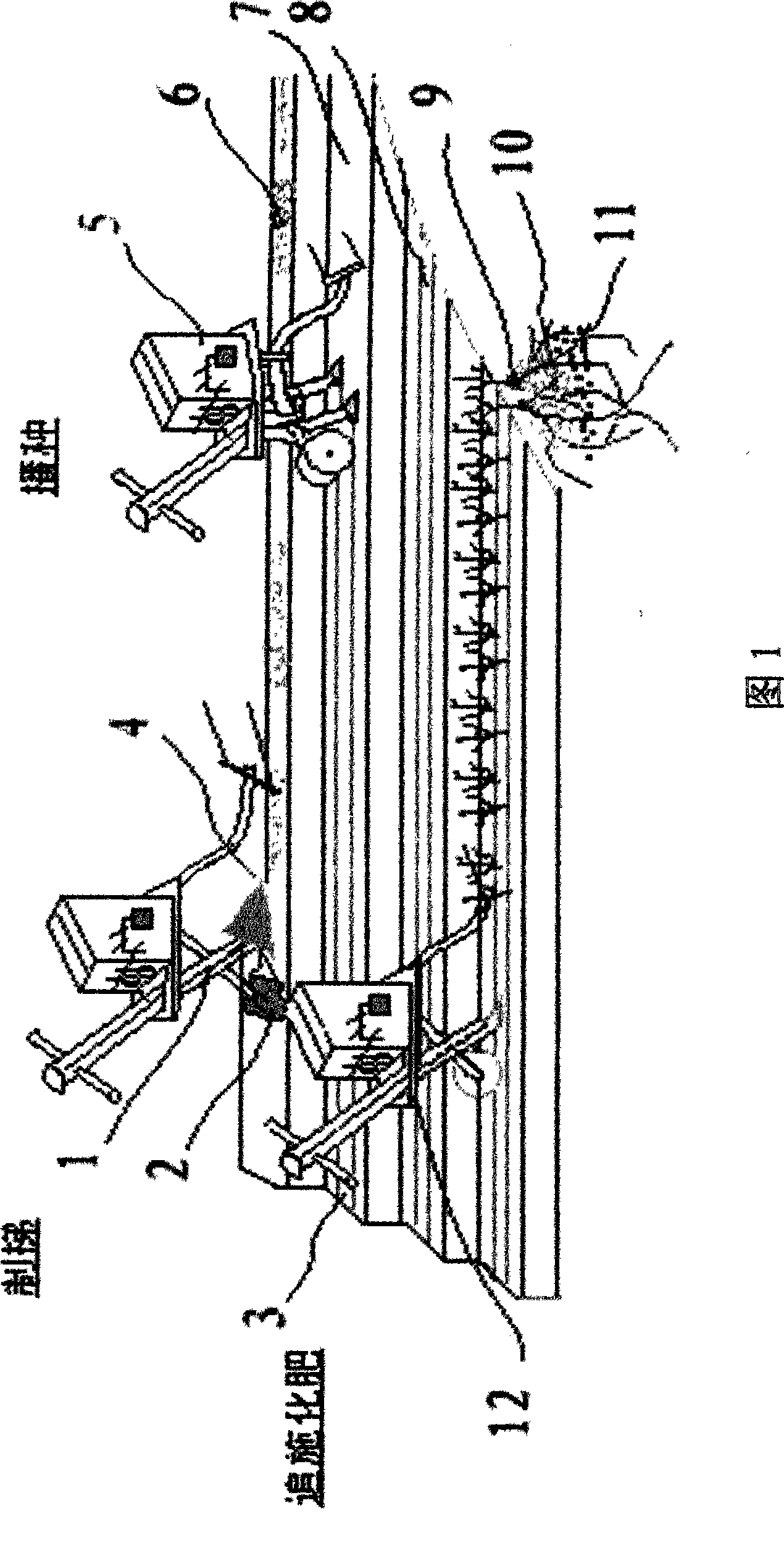 Slope planting technique