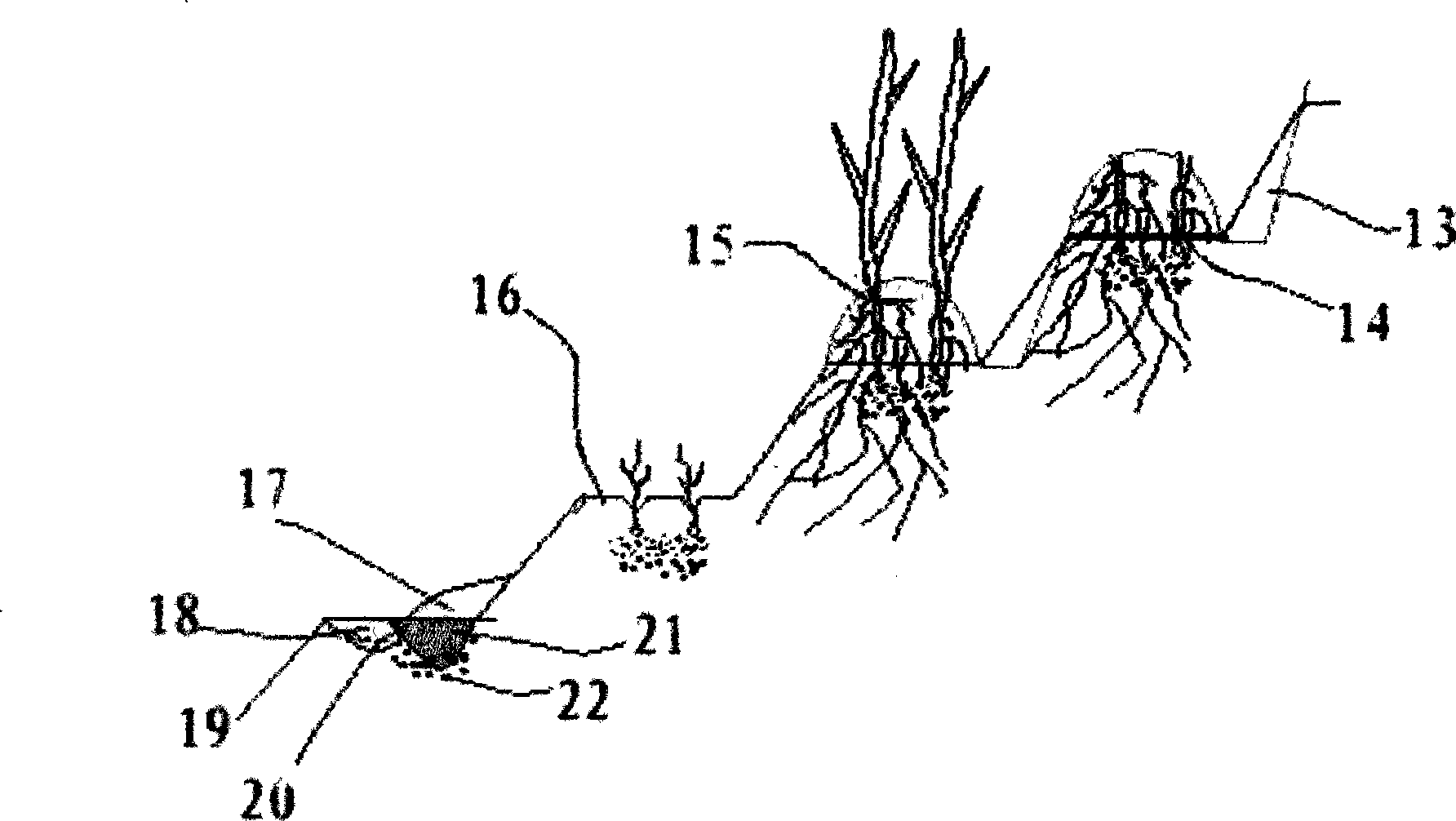 Slope planting technique