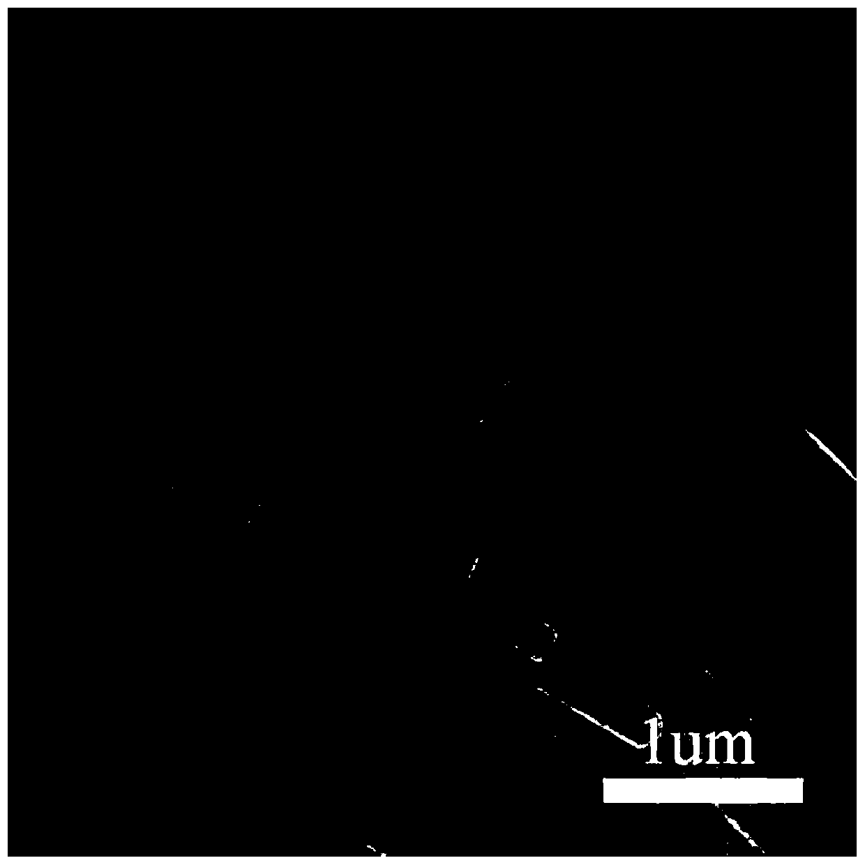 Ni2P/Mn0.3Cd0.7S photocatalytic water-decomposition composite catalyst and preparation method and application thereof