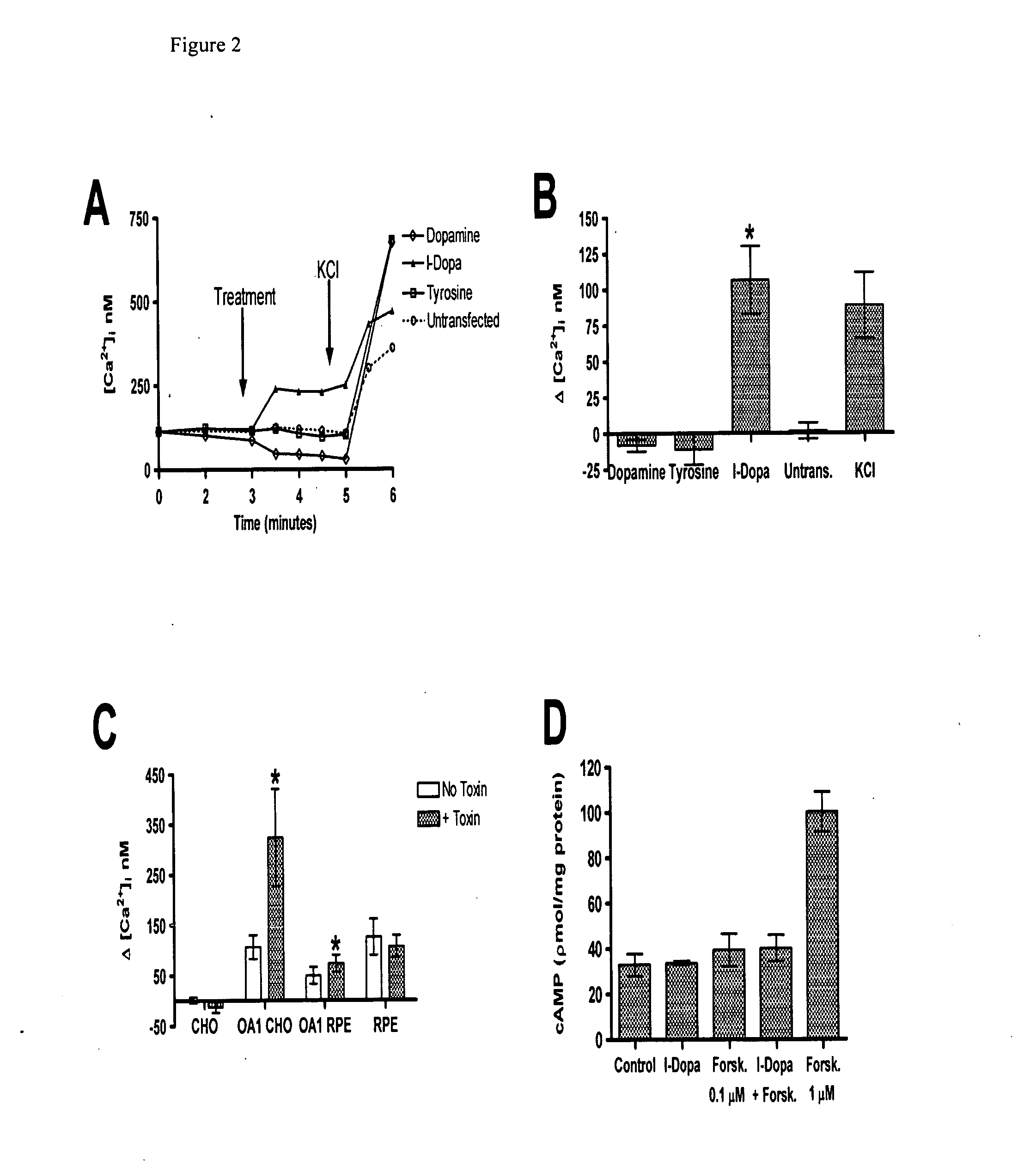 Methods and Compositions for Treating and Identifying Compounds to Treat Age-Related Macular Degeneration