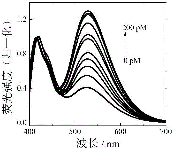 Preparation method of fluorescent sensor system based on cationic conjugated polymer and iridium complex FRET effect and application thereof