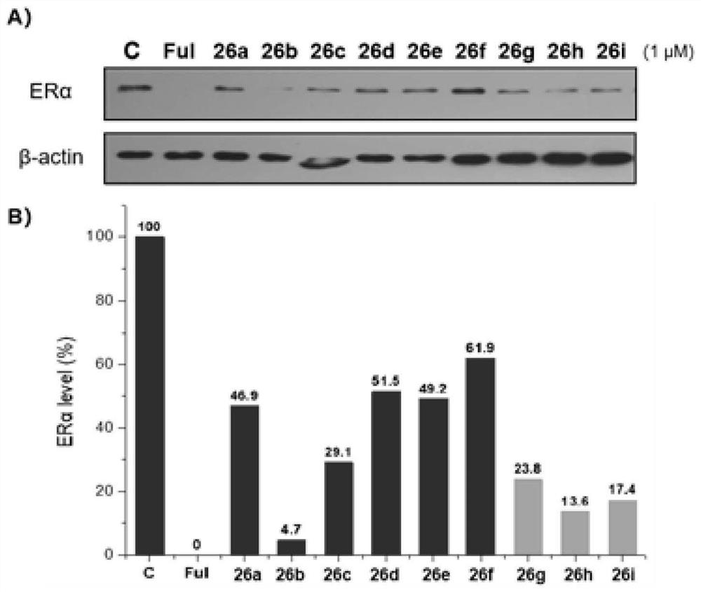 Proteolytic targeted chimeric compound taking oxygen bridge bicycloheptene compound as estrogen receptor ligand as well as preparation method and application