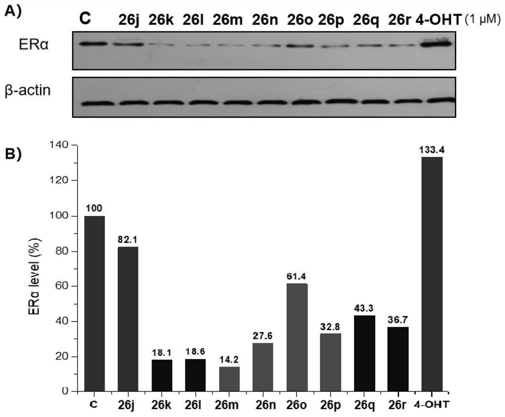 Proteolytic targeted chimeric compound taking oxygen bridge bicycloheptene compound as estrogen receptor ligand as well as preparation method and application