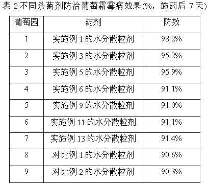 Bactericidal composition containing epoxiconazole and kresoxim-methyl and preparation method thereof