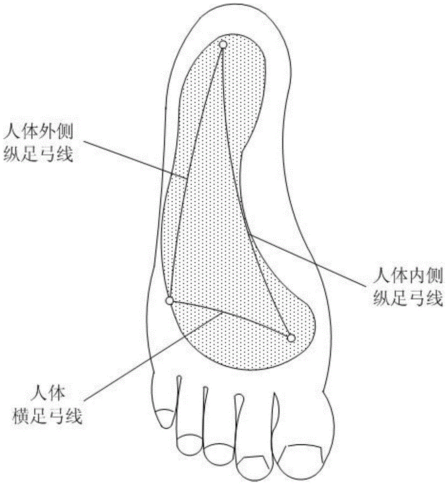 midsole of a high-heeled shoe