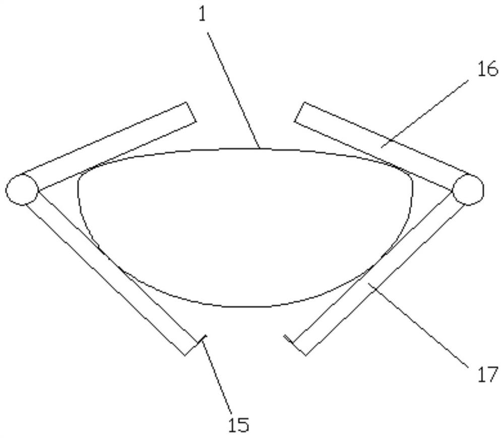 Heart calming medicine and preparation method thereof