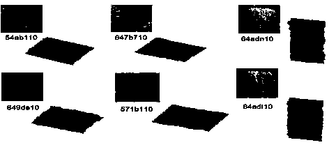 Method for synthesizing three-dimensional fluid scenes with sense of reality and space-time continuity