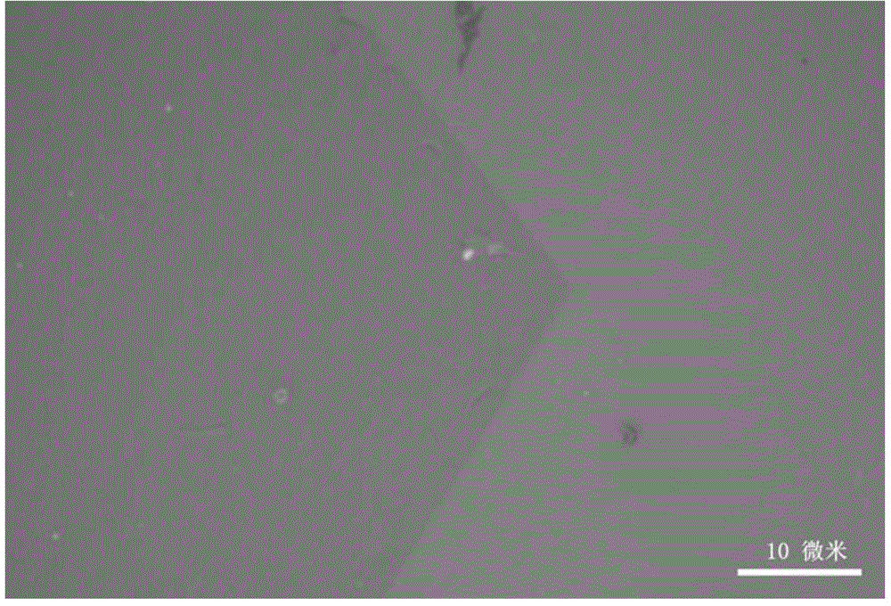 A method for rapidly preparing large-scale single-crystal graphene