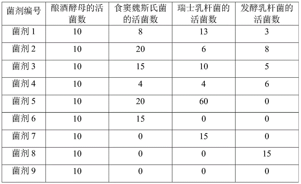 Complex microbial agent for fermenting staple food and application of complex microbial agent