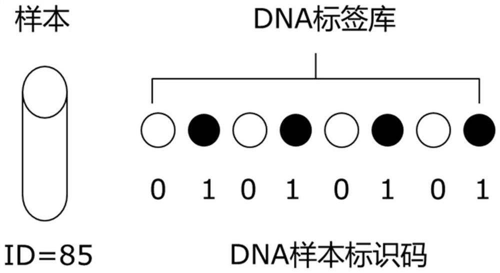 A method for identifying sequencing samples and its application