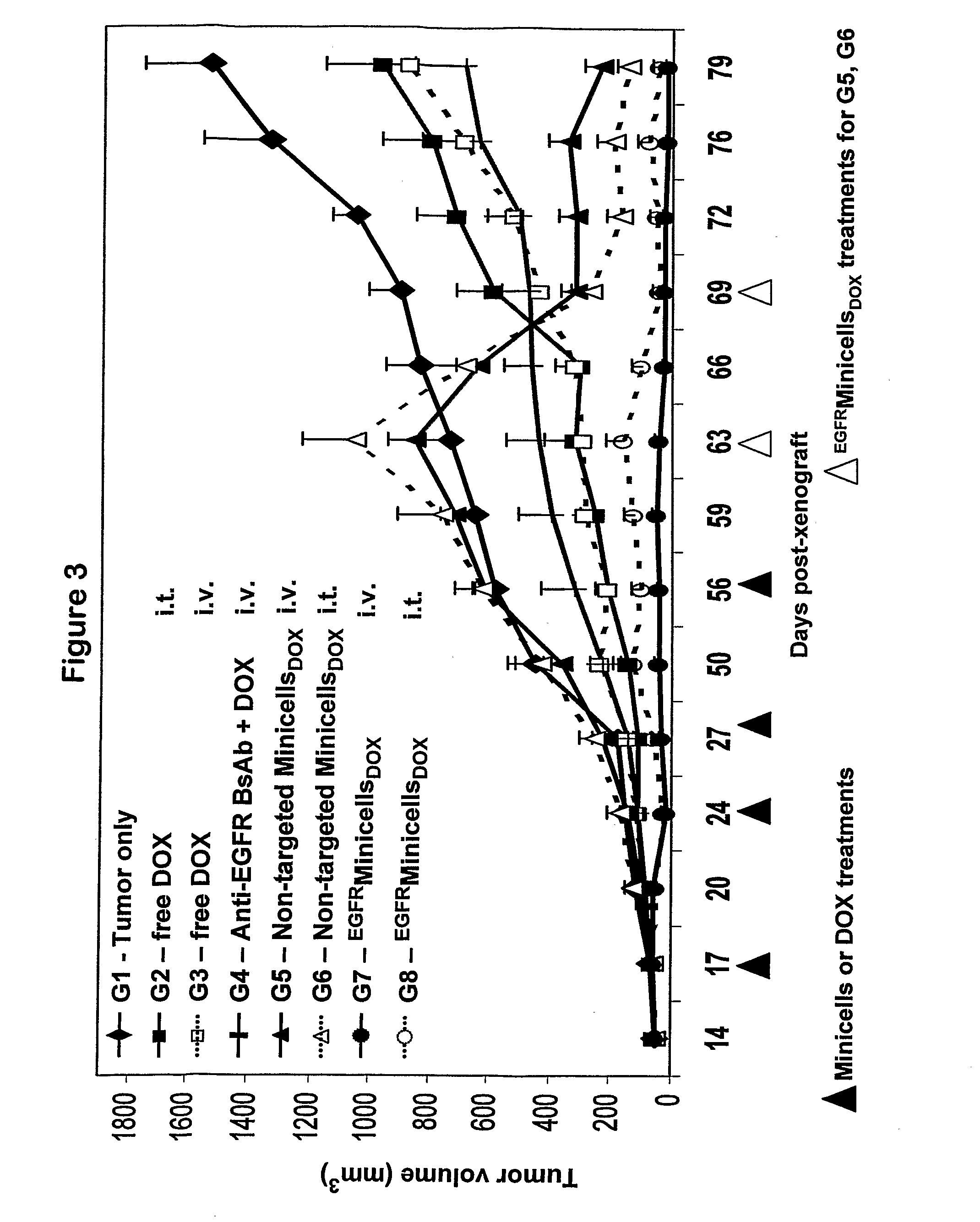 Methods for targeted in vitro and in vivo drug delivery to mammalian cells via bacterially derived intact minicells