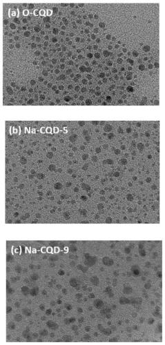 A thin film composite membrane