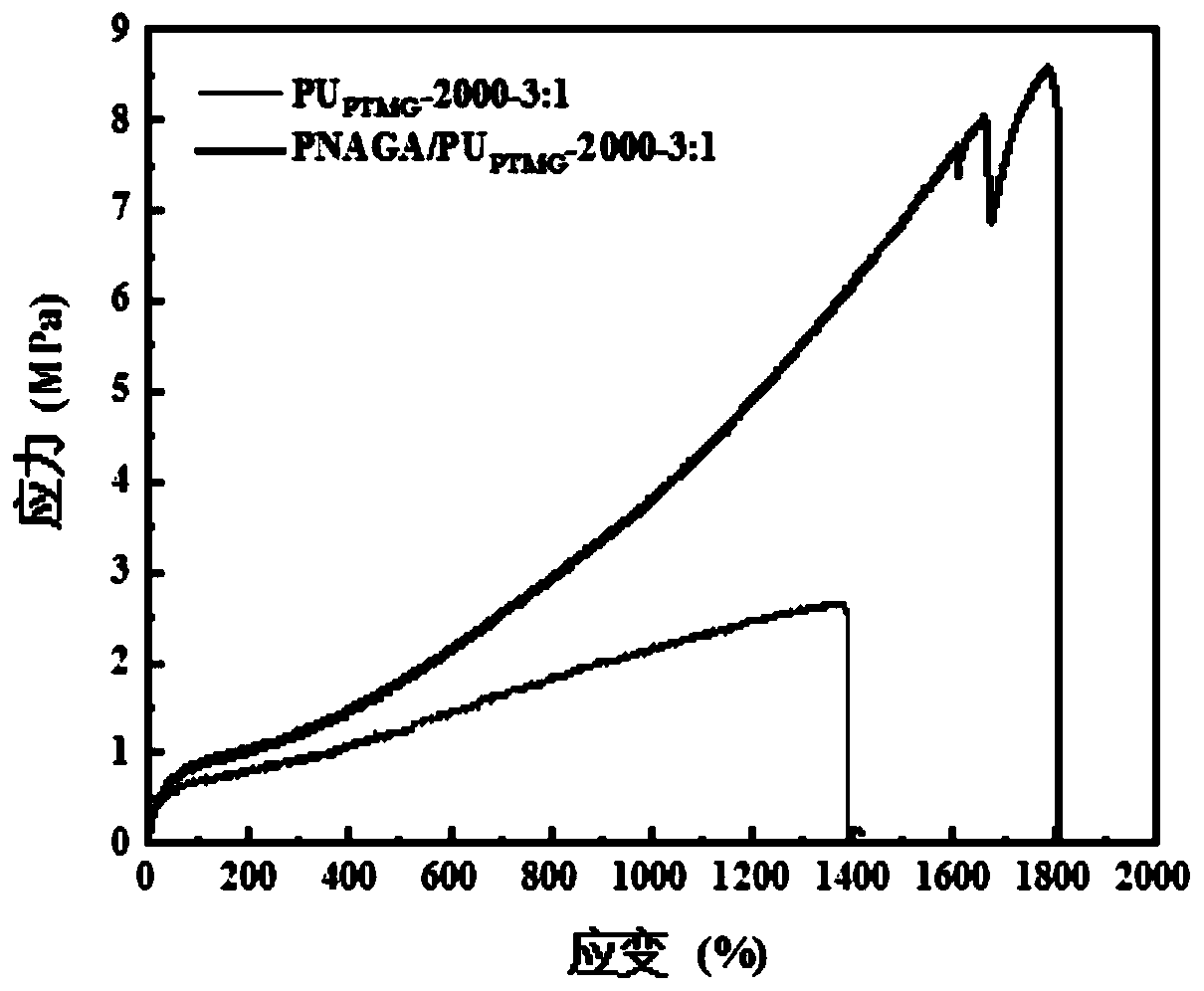 Polyacryloyl glycinamide-polyurethane self-repairing elastomer