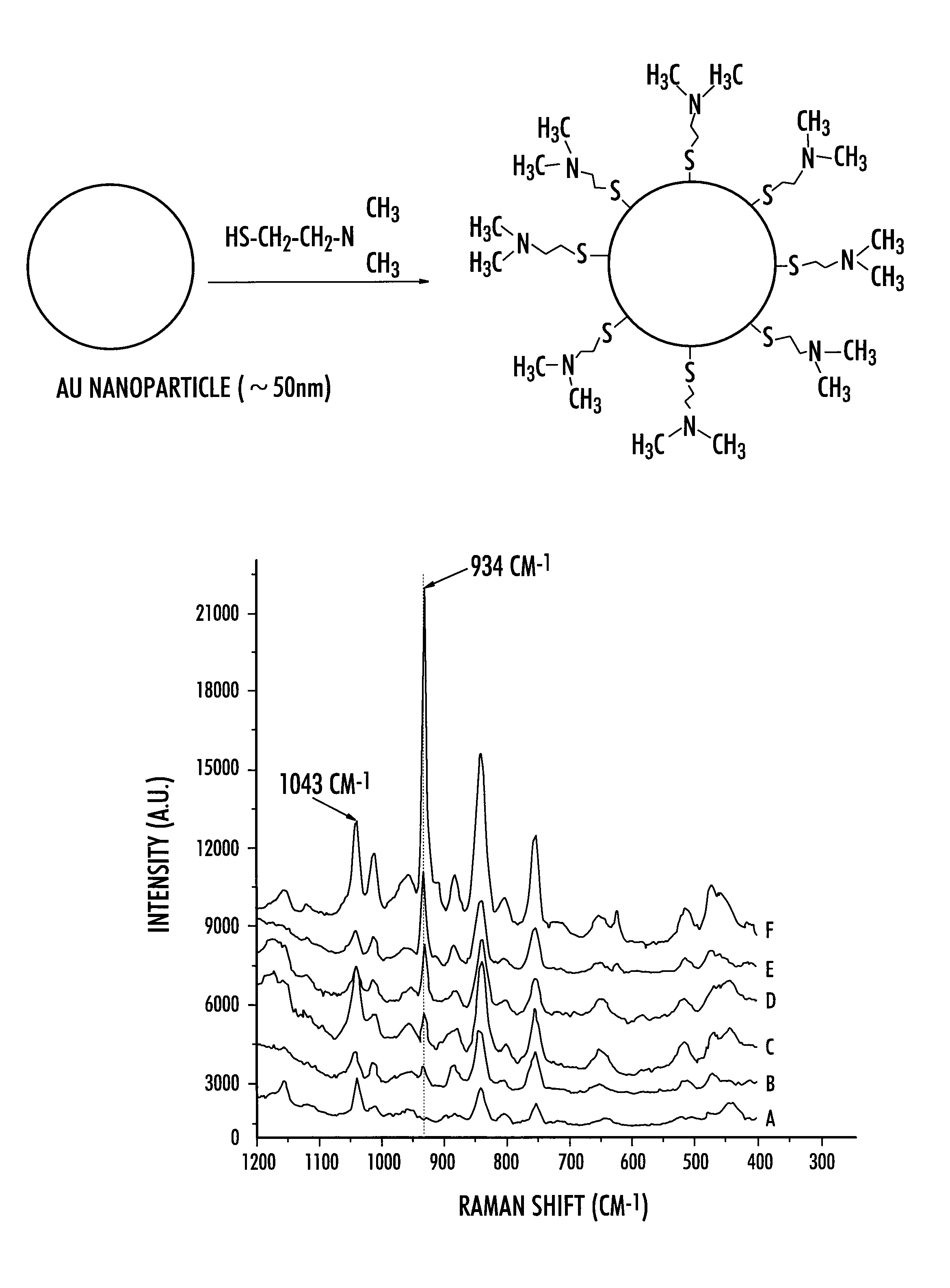 Functionalized gold surface-enhanced raman scattering substrate for rapid and ultra-sensitive detection of anionic species in the environment