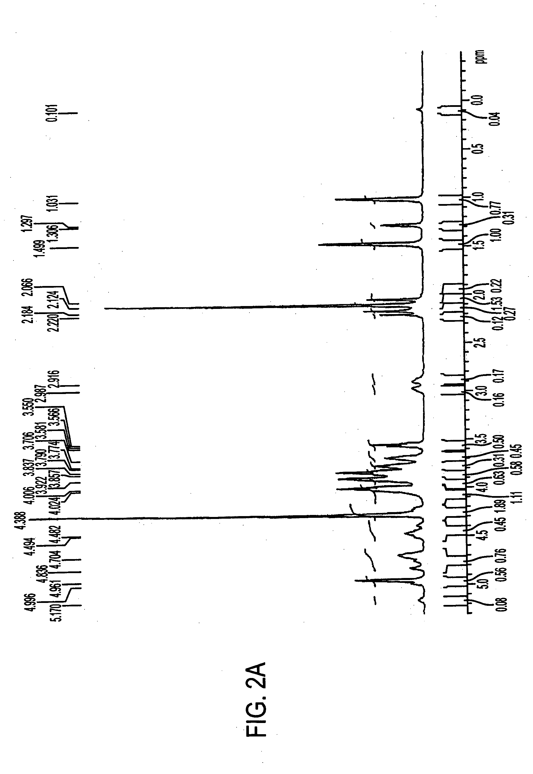 Staphylococcus antigen and vaccine