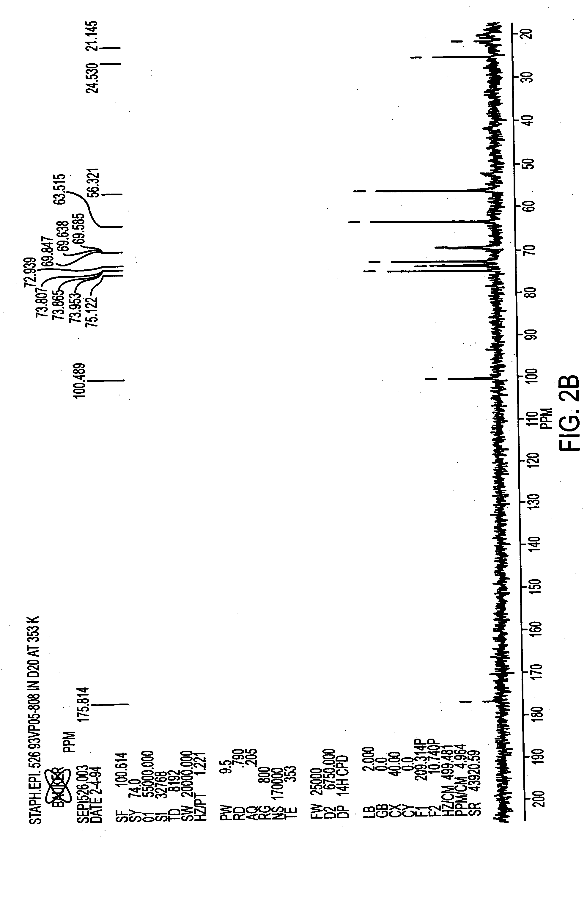 Staphylococcus antigen and vaccine