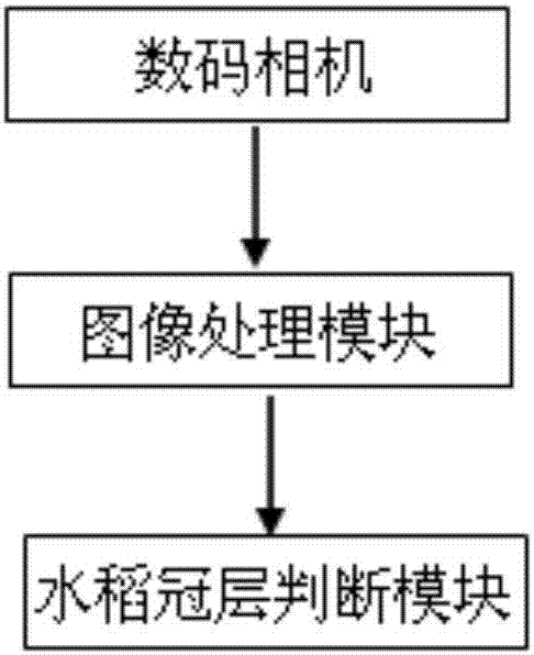 Rice canopy recognition method based on digital camera image