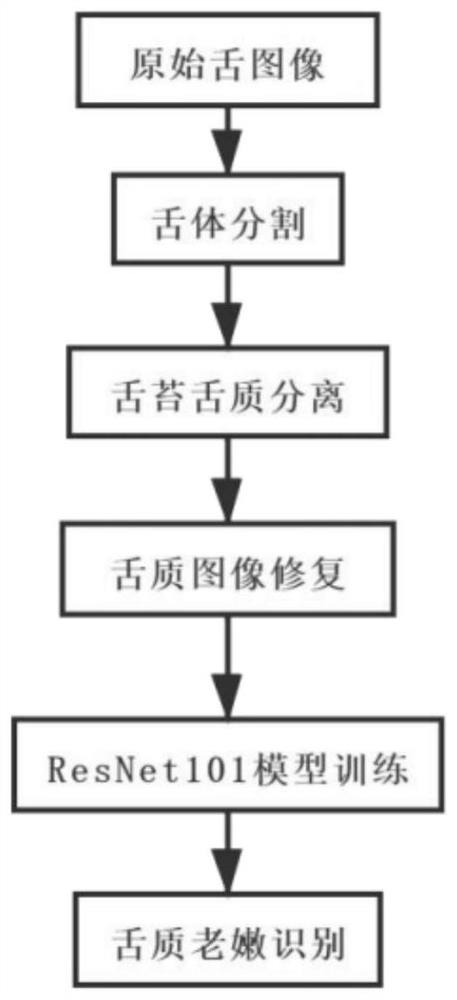 Traditional Chinese medicine tongue quality tenderness identification method based on image restoration and convolutional neural network