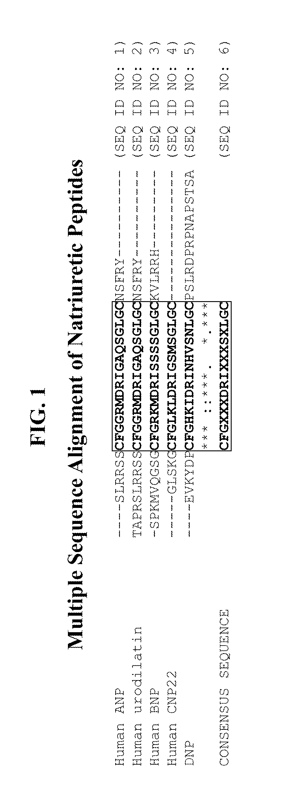 Compositions comprising natriuretic peptides and methods of use thereof