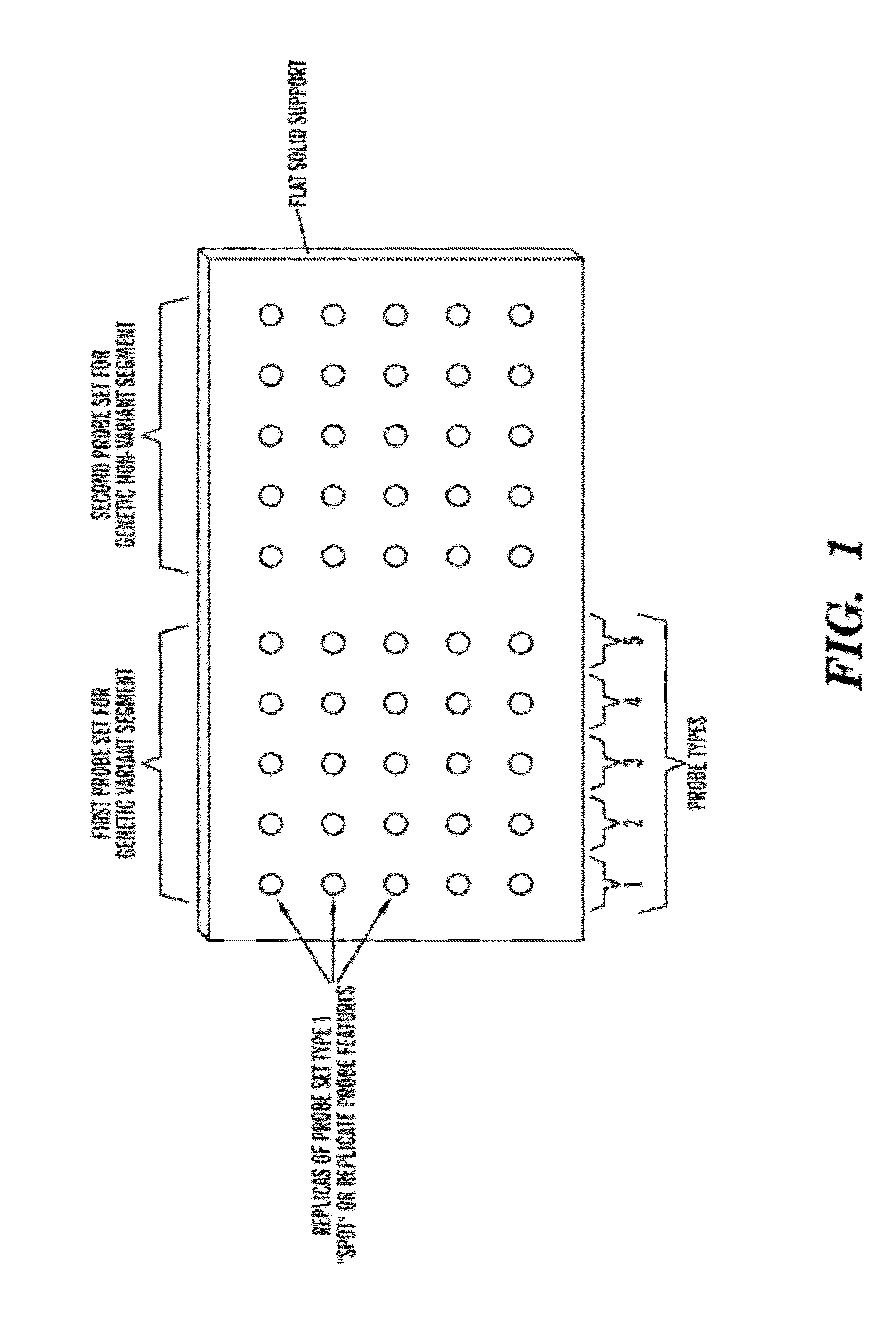 High throughput detection of genomic copy number variations