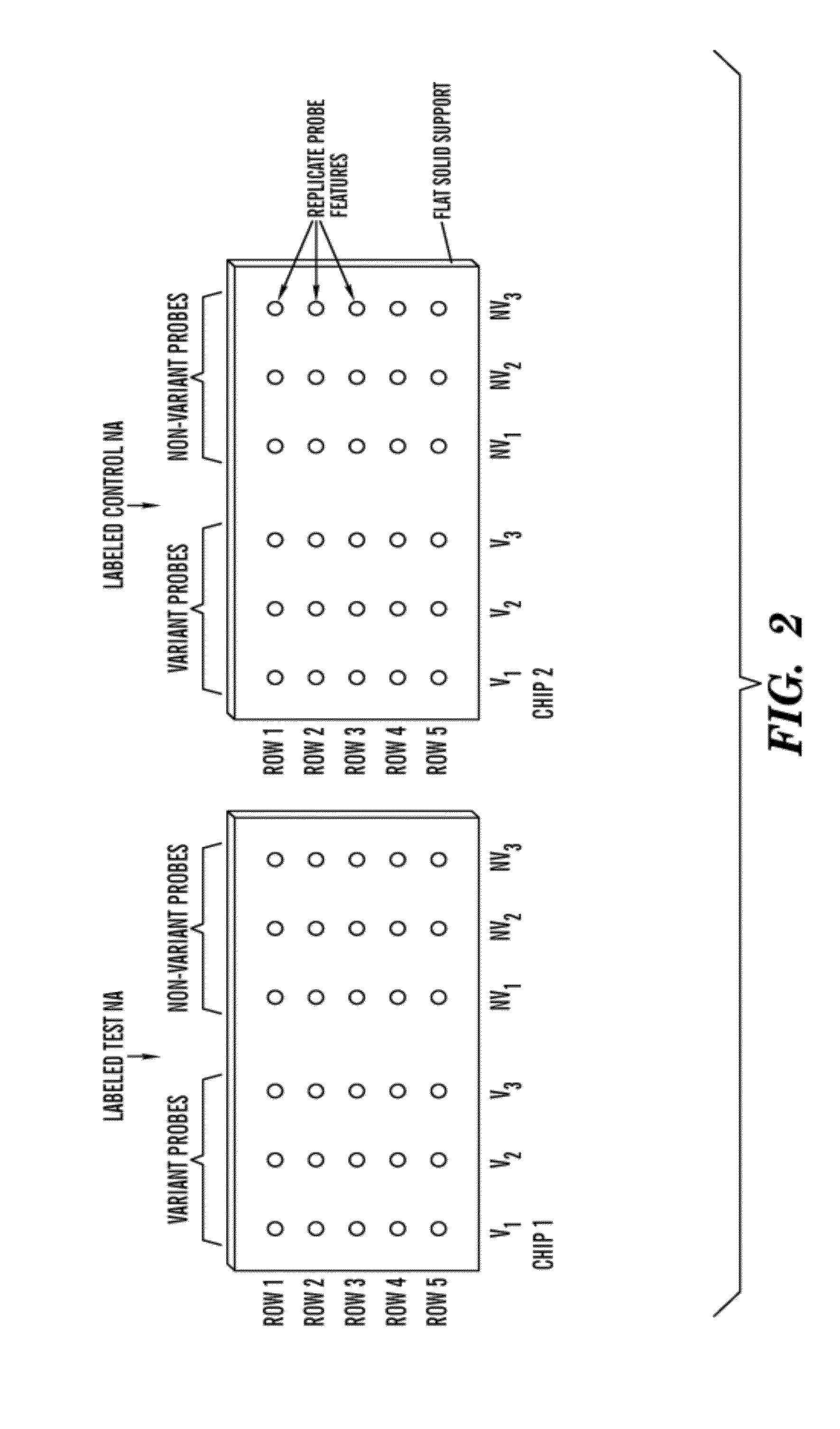 High throughput detection of genomic copy number variations