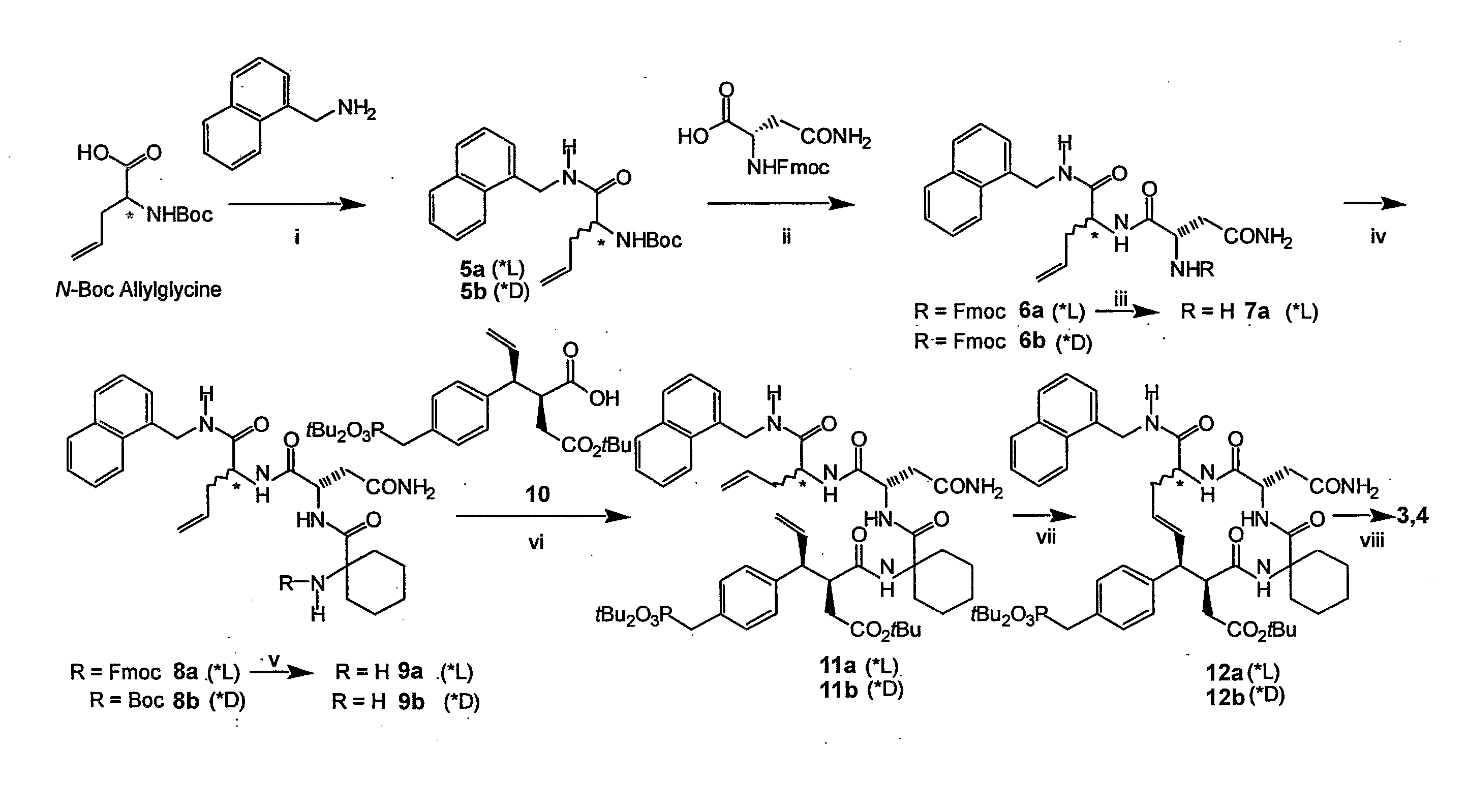 Macrocyclic  Sh2 Domain Binding Inhibitors