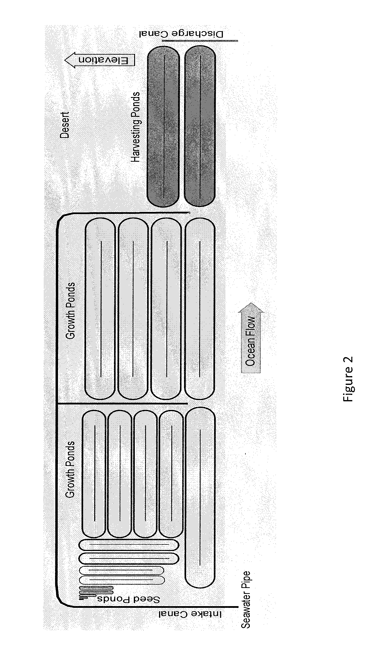 Method of culturing algae