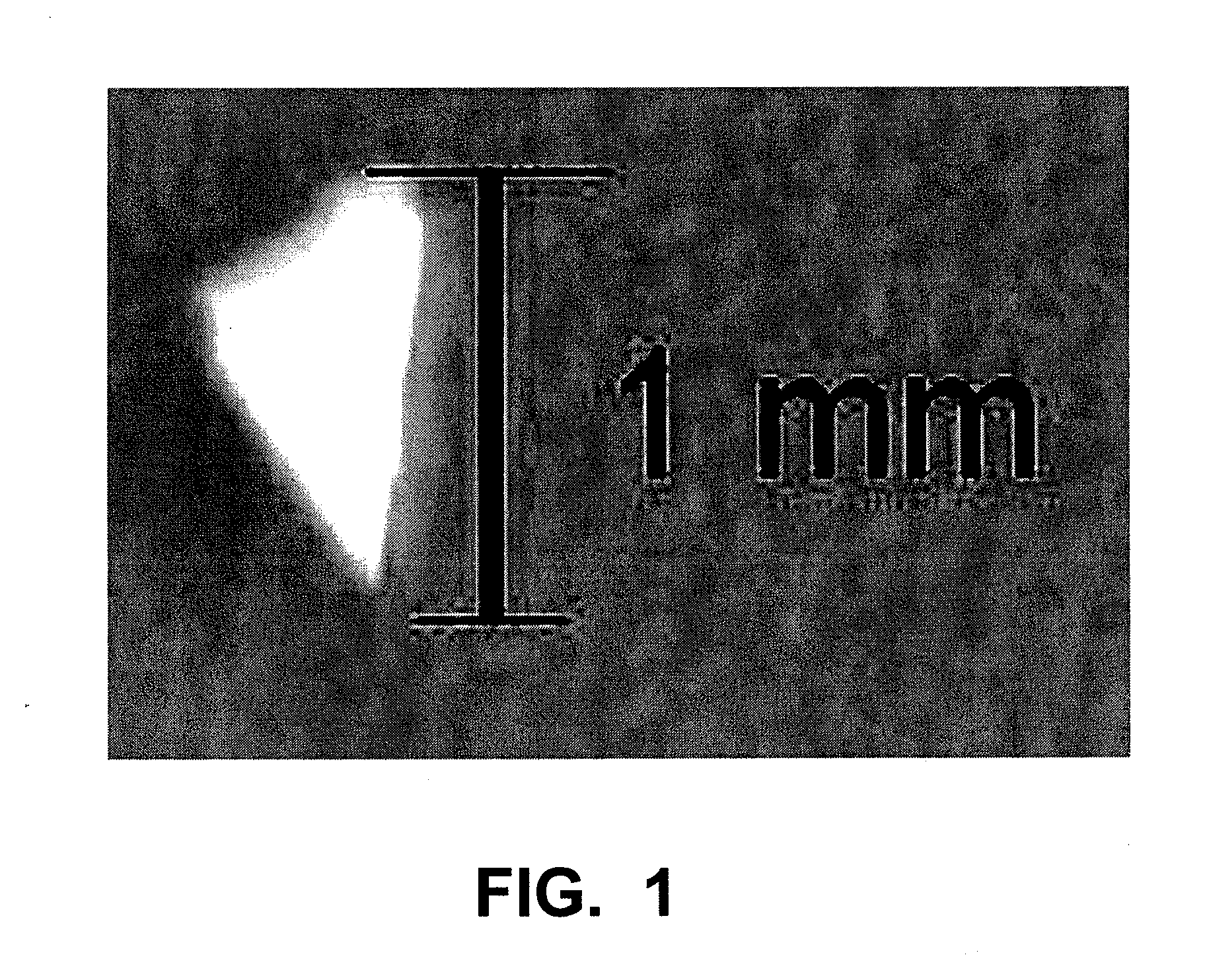 Implants and Microspheres for the Sustained Release of Drugs for Ophthalmic Use and Preparation Methods Thereof