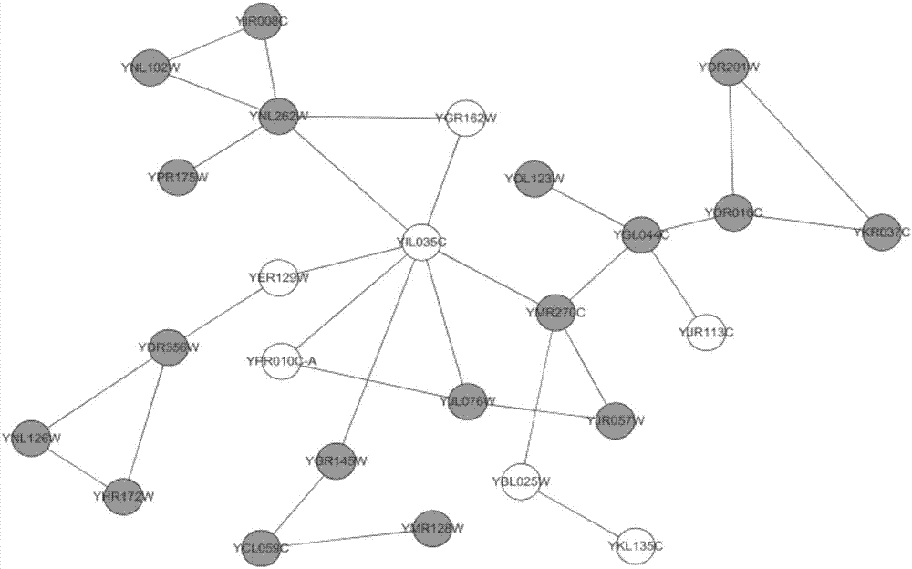 Method for identifying key protein by adopting improved flower pollination algorithm