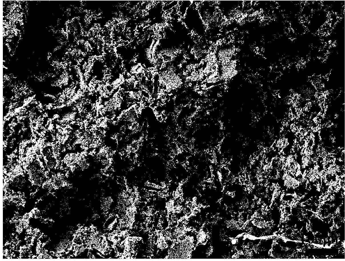 Method for utilizing thermally induced phase separation technology to prepare porous ceramic