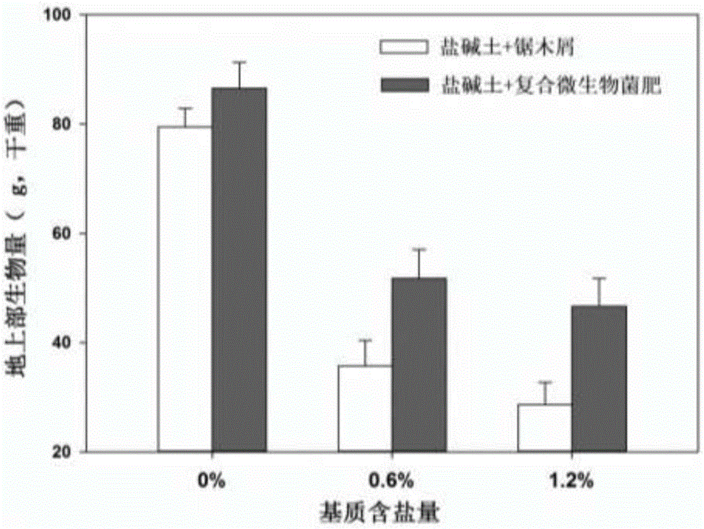 Method for enhancing salt resistance of turf grass by using halophiles