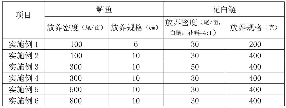 Comprehensive planting and breeding method for rice, weevers and silver carps in mountainous area