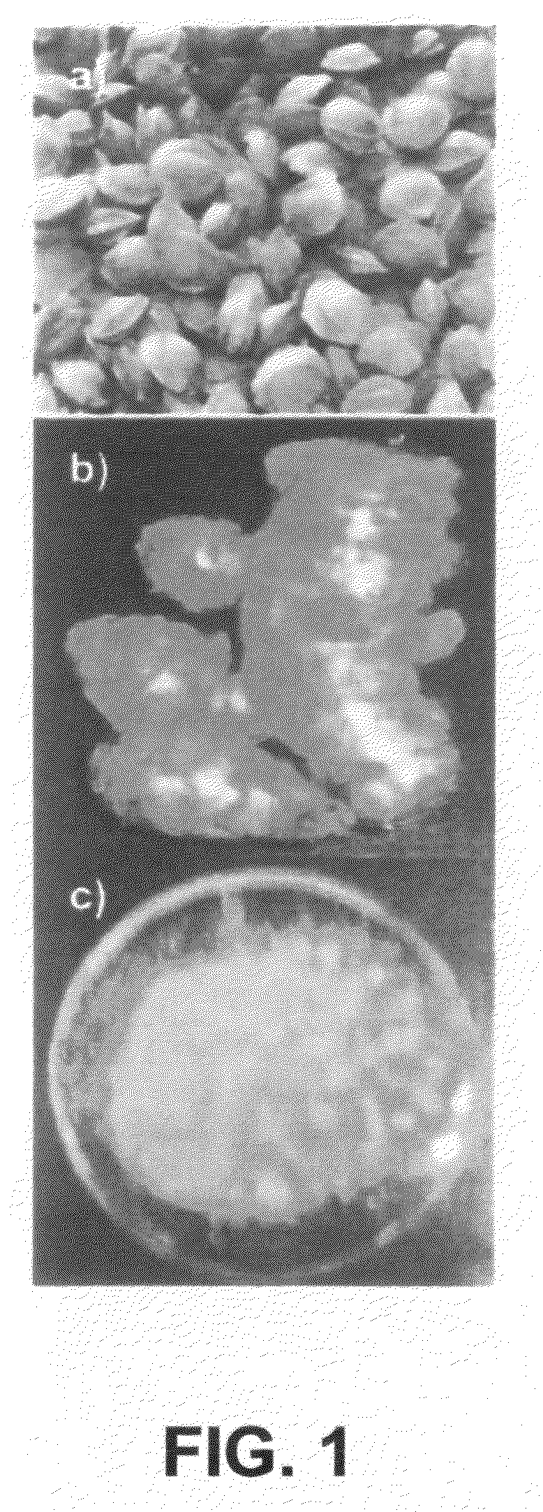 Method for preparing hydro/organo gelators from disaccharide sugars by biocatalysis and their use in enzyme-triggered drug delivery