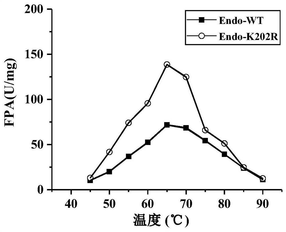 Endoglucanase mutant, gene, engineering bacterium and application thereof