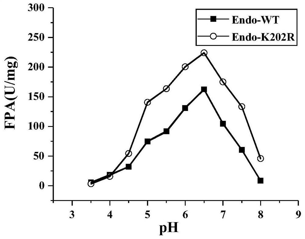 Endoglucanase mutant, gene, engineering bacterium and application thereof