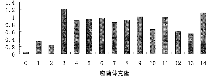 Application of novel polypeptide in diagnosis of rheumatoid arthritis