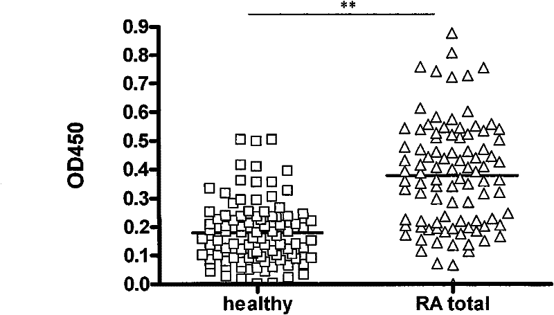 Application of novel polypeptide in diagnosis of rheumatoid arthritis