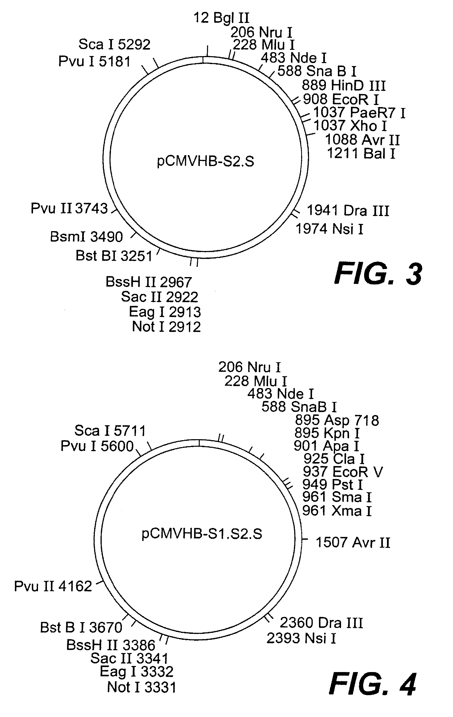 Nucleotide vector, composition containing such vector, and vaccine for immunization against hepatitis