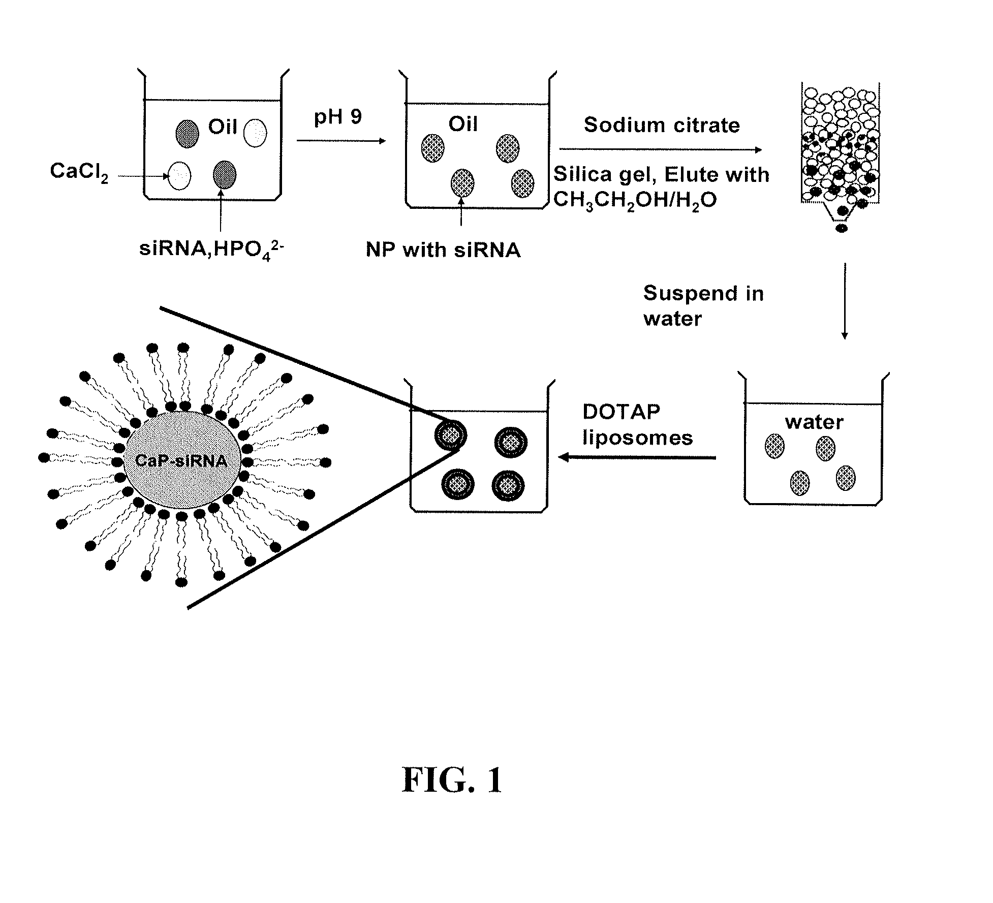 Liposomes comprising a calcium phosphate-containing precipitate